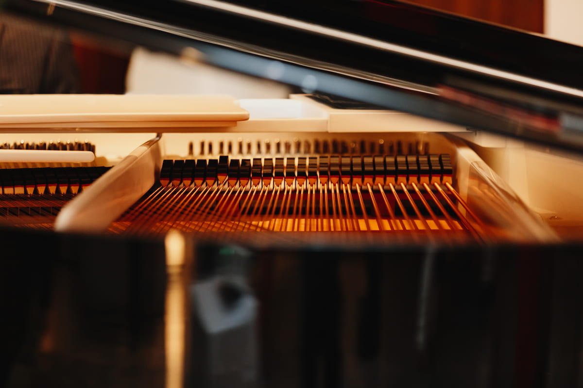 Piano und Nature Konzertreihe Fischland-Darss